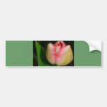 Spring Flower Tulip Bumper Sticker
