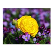 Spring flower vykort