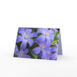 Spring Flowers Birthday cards