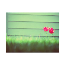 Spring Flowers Canvas Print