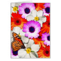 Spring Flowers cards