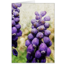 Spring Flowers Card