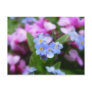 Spring Flowers - Forget Me Nots And Redbuds Post Cards