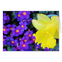 Spring flowers greetings card