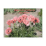 SPRING FLOWERS IN MICHIGAN POST CARD