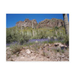 Spring Flowers in the Superstition Mountains of AZ postcards
