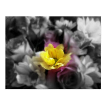 Spring Flowers Postcard