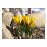 Spring Forth cards