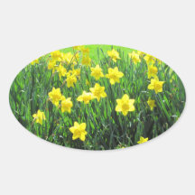 SPRING GIFTS DAFFODIL COLORFUL STICKER