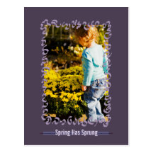 Spring Has Sprung Pretty Spring Postcard