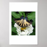 Spring Has Sprung (Print)