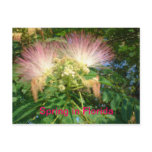 Spring in Florida Postcard