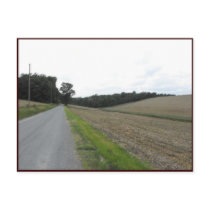 ~ Spring in Lancaster County ~ 70 Post Card