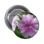 Spring In Maine Buttons