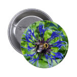 Spring In Maine Buttons
