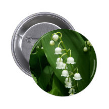 Spring In Maine Buttons