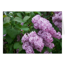 Spring In Maine Greeting Card