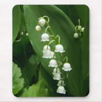 Spring In Maine Mouse Pad