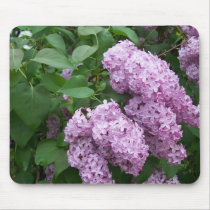 Spring In Maine Mouse Mat