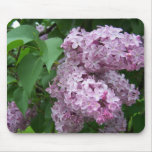 Spring In Maine mousepads