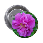 Spring In Maine Pin