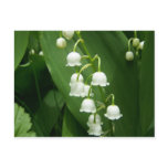 Spring In Maine postcards