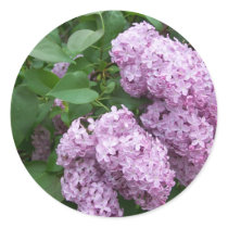Spring In Maine Round Sticker