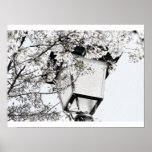 Spring in orchard posters