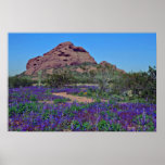 Spring In Papago Park flowers Print