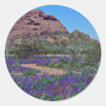 Spring In Papago Park flowers Sticker