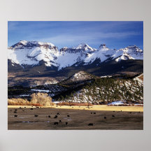 Spring in the San Juans Posters
