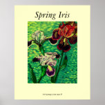 Spring Iris Poster