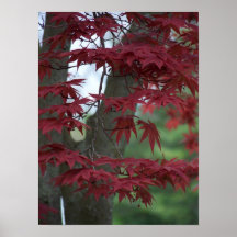 Spring is Calling Posters