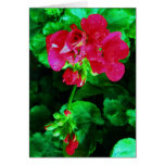 Spring is in th air cards