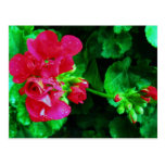 Spring is in th air postcards