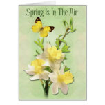 Spring Is In The Air cards