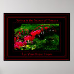 Spring is the Season of Flowers Poster