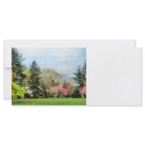 Spring Landscape Custom Rack Cards