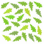 Spring Leaf Pattern. Green Oak Leaves. Custom photo sculptures