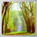 Spring Light Poster posters