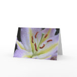 spring lily notecard