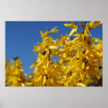 Spring messenger poster
