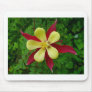Spring Mouse Pads