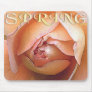 SPRING MOUSE MATS