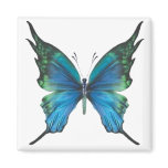 Spring Myst magnets