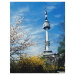 Spring, Namsan Tower, Seoul, South Korea flyers