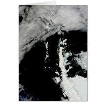 Spring on the Antarctic Peninsula Note Card