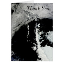 Spring on the Antarctic Peninsula Thank You Note Card