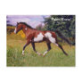 Spring Paint Horse Postcard