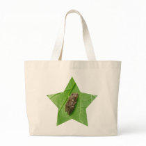 Spring Peeper (Pseudacris crucifer) Treefrog Items Bag